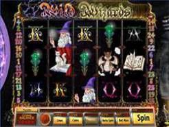Wild Wizards